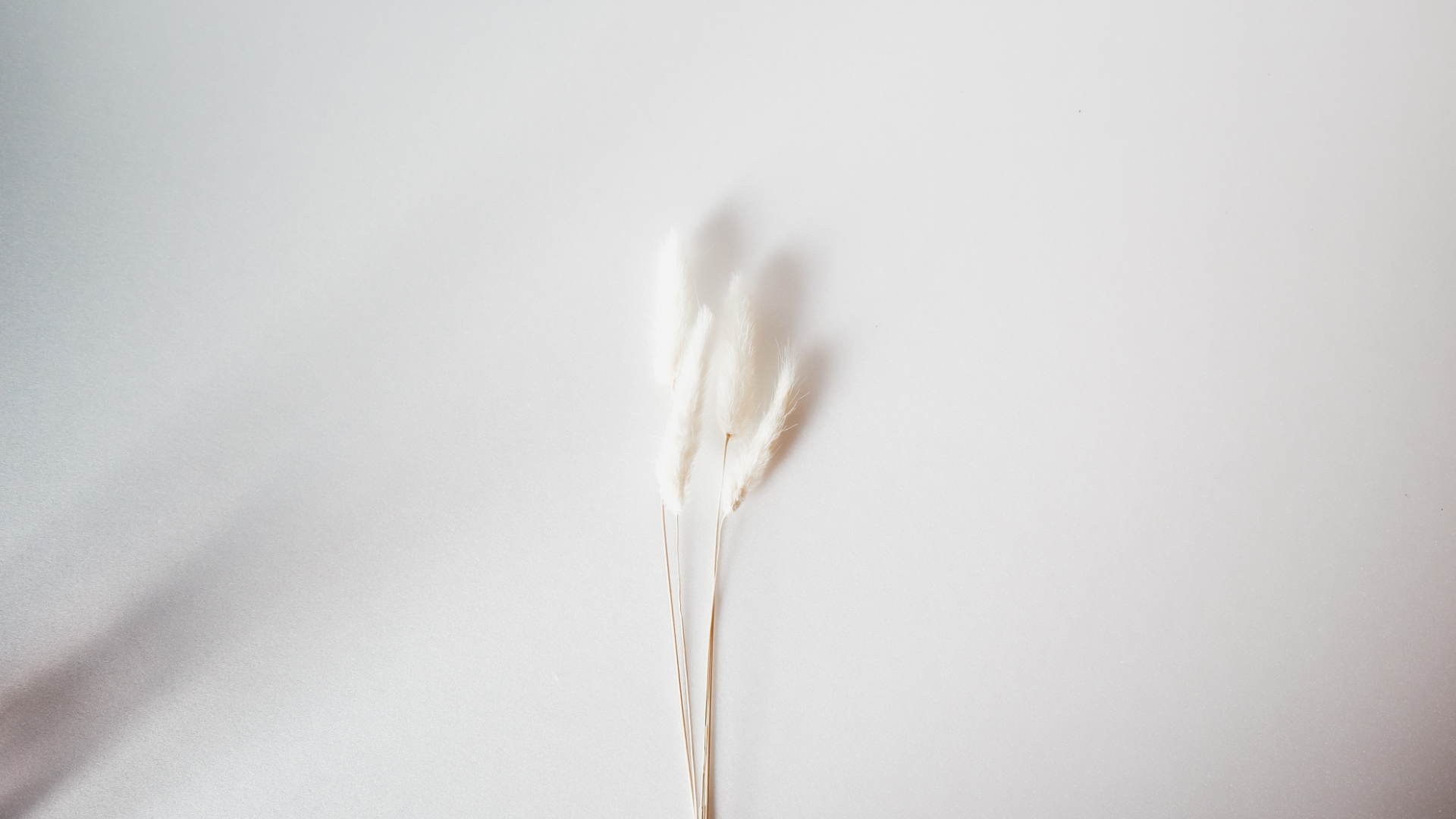 Diseño sin título (4)