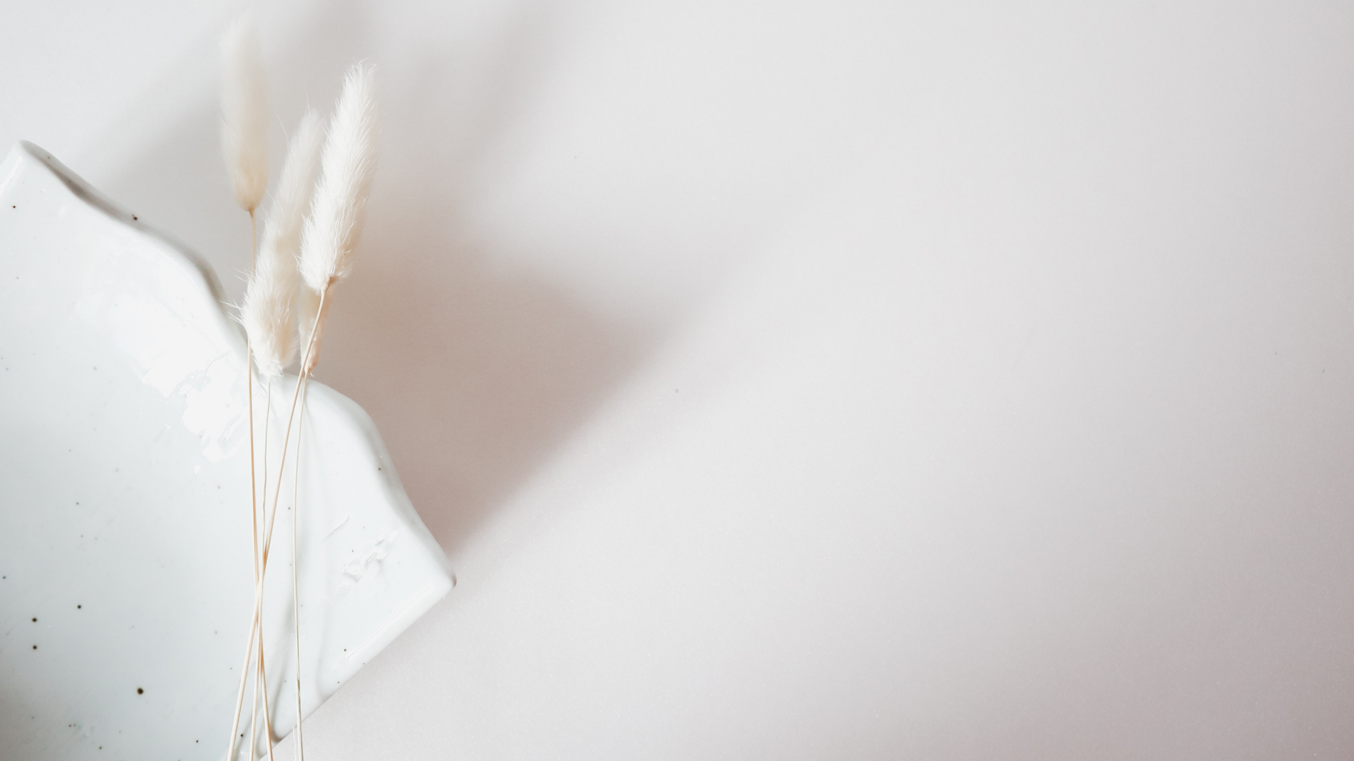 El texto del párrafo (1)